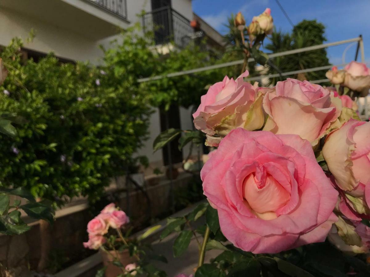 El Nur Bed & Breakfast San Vito Lo Capo Eksteriør billede